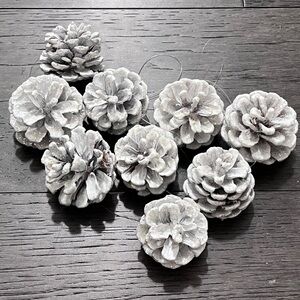 Sparkly White Pine Cone Christmas Ornaments